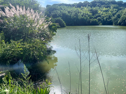 大池（木沢山田）