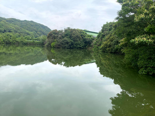 鳥ヶ池(寺内)