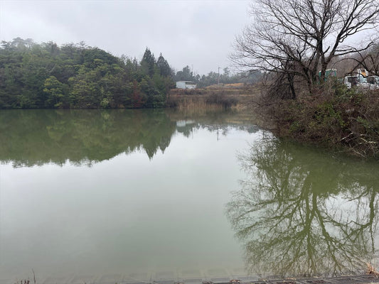新池（山田福地）