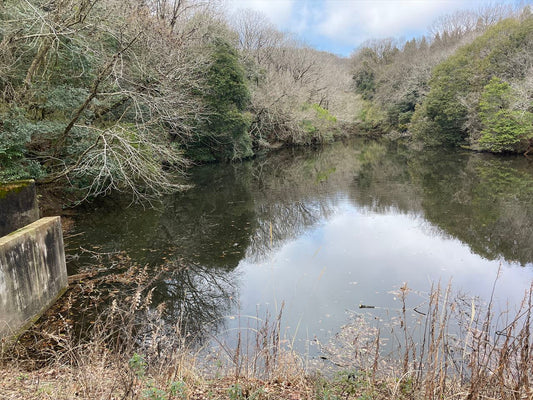 滝谷下池（淡河）