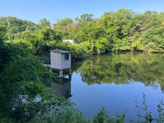 さいのかど下池