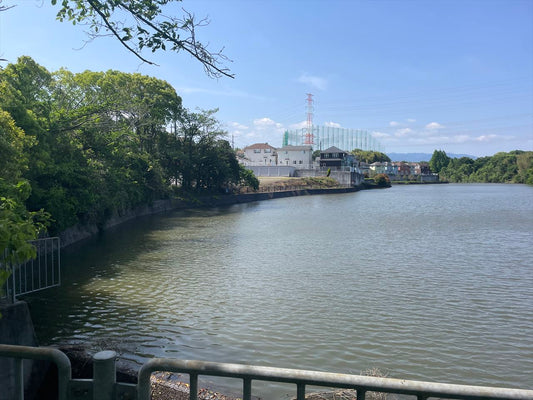 大池（南区城山台）