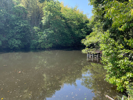 別所上池（南区別所）