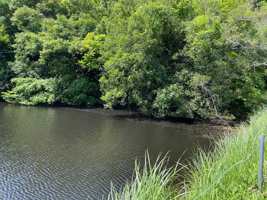 別所中池（南区別所）