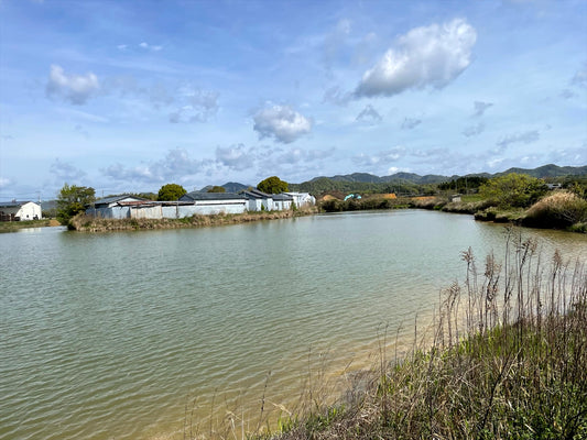 餅池