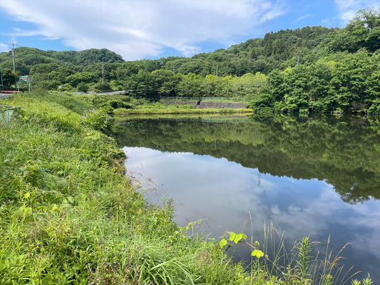 深山池（塩河）