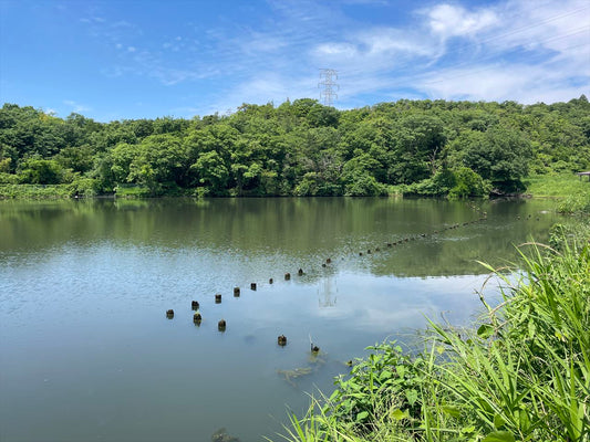 丸山池（喜八洞）