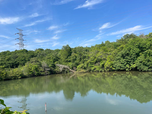 宮裏二ツ池（南）