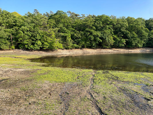 大池（竜泉寺）