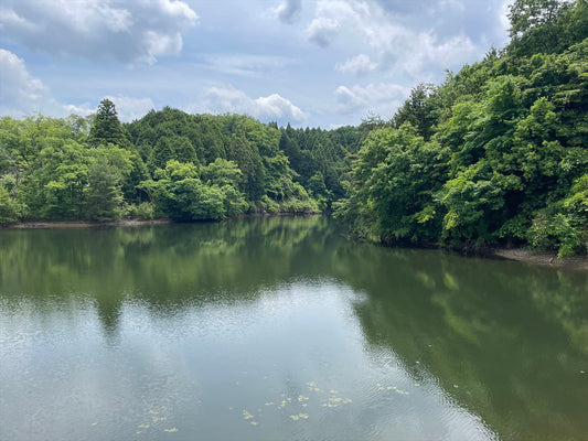 柳谷池（上馬杉）