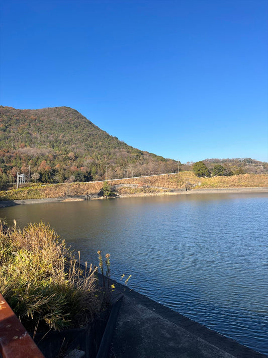 新池（川津奥）