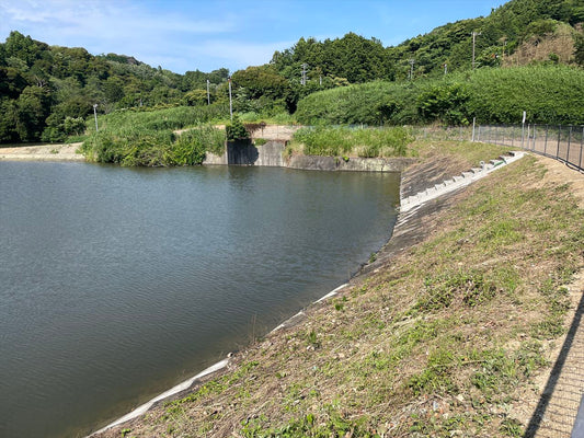 丑池（東横地）