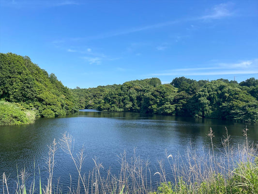 谷田大池