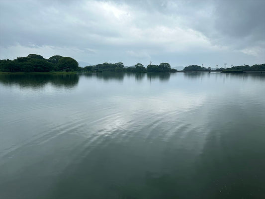 駕与丁公園