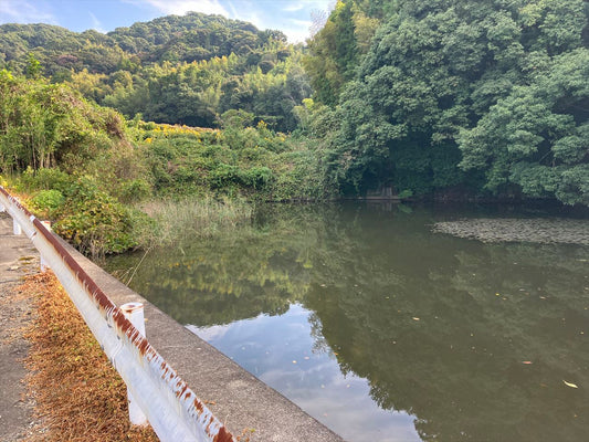 裏田ため池