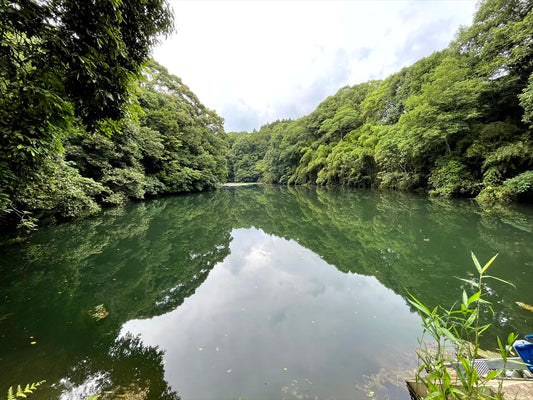 新立池（深水）
