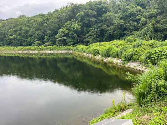 中の池（谷下）