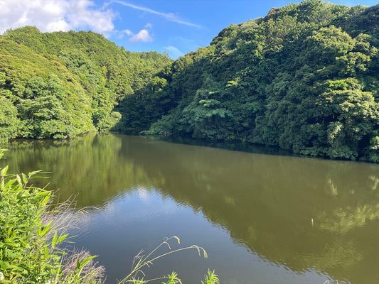 岩谷池（垂木）