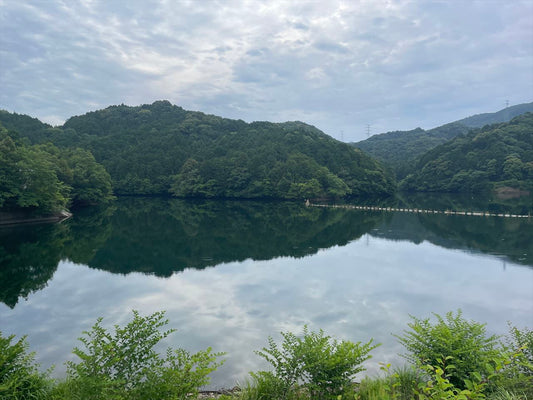 大井池（大草）