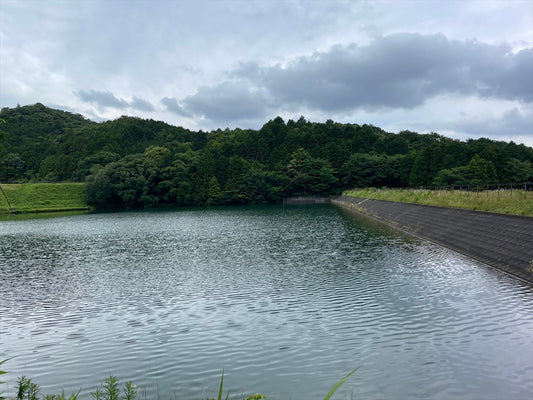 新池（羽栗町）