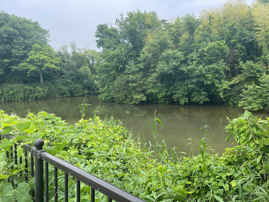 中ノ池（龍間）