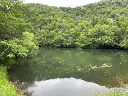 東谷池（切畑）