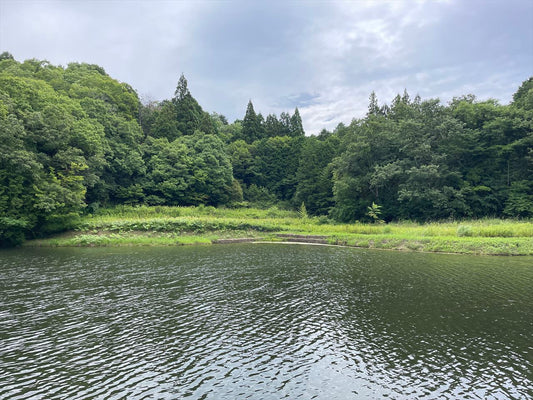 愛宕池（寒山）