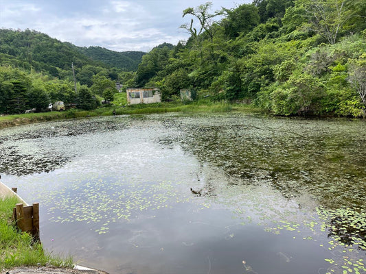 皿池（長谷サル山）