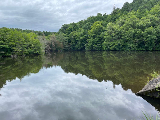 小畑池（長谷）