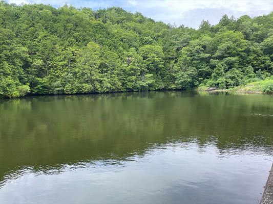 長谷大池（長谷）