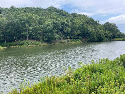 川池（市之瀬）