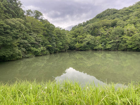奥山田下池