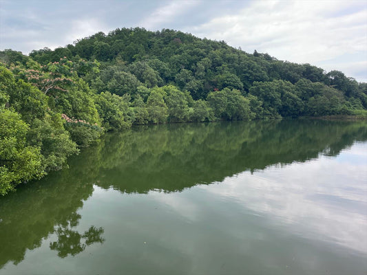 沢上ノ池/沢下ノ池