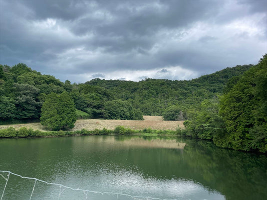 沢池（東本庄）