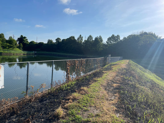 浜池（矢田町）