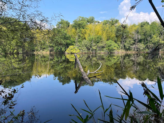 上池（依那具）