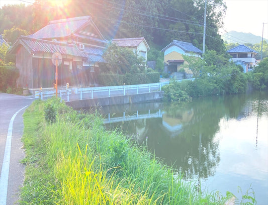 新池（淡路高山）