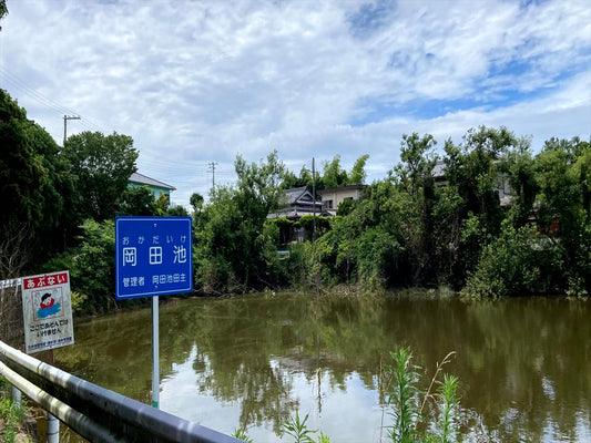 岡田池（鳥飼浦）
