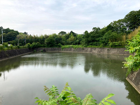 グリーンヒル汚水処理場東池