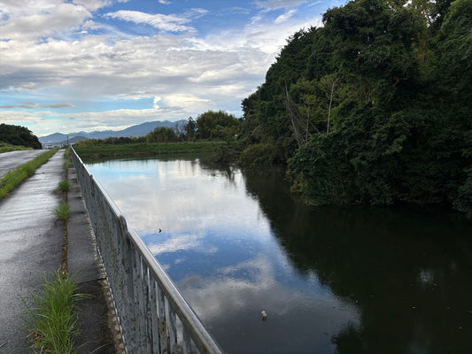 外池（南藤井）