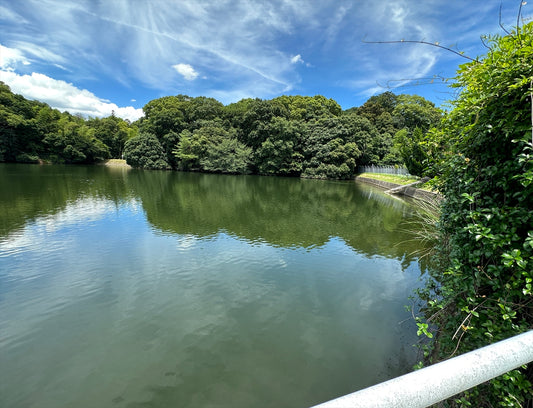 小池（太宰府市吉松）