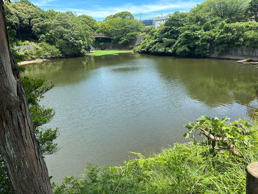 大池(吉松)