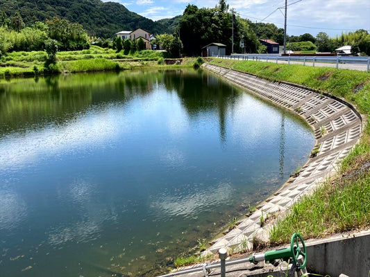 川池（倭文長田）