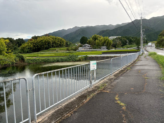 上池（南藤井）