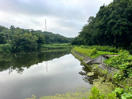 奥の池（谷下）