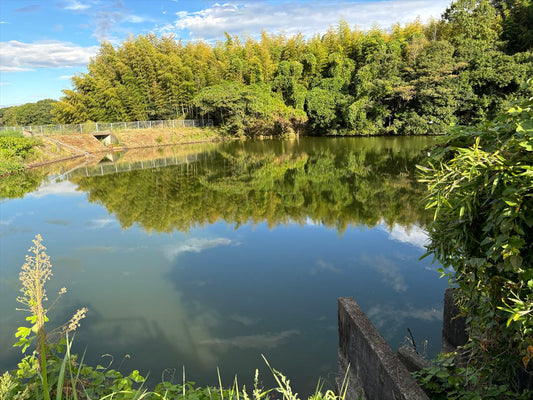 岩谷池（寺口）