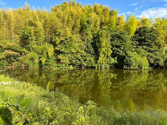 岡田池（中戸）