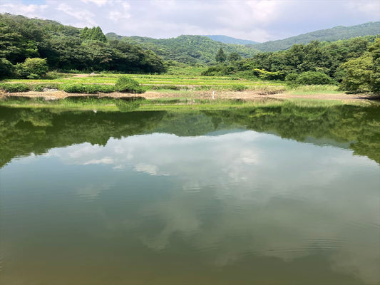 山田ため池