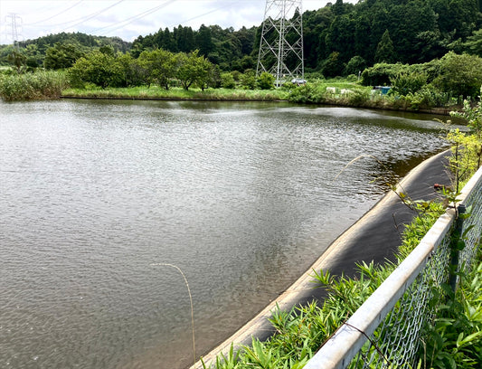 本郷堰（片又木）