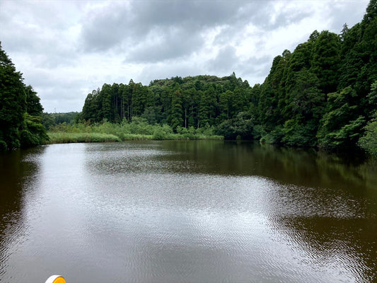 和田池（山武）